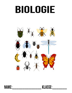 Deckblatt Bio Insekten