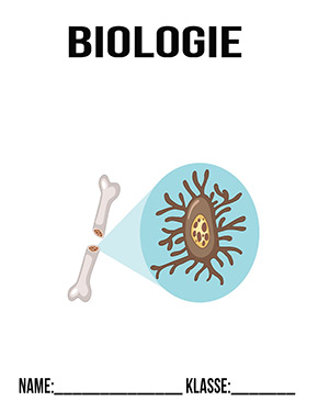 Deckblatt Bio Knochenzelle