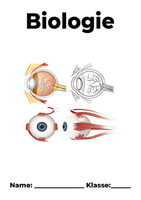 Deckblatt Biologie Auge Anatomie