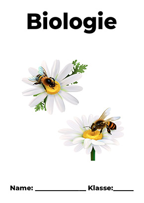 Deckblatt Biologie Bienen
