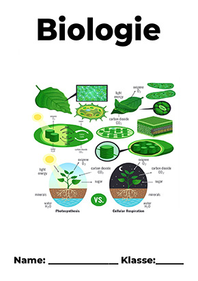 Deckblatt Biologie Fotosynthese