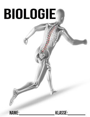 Deckblatt Biologie Skelett