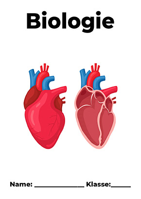 Deckblatt Biologie menschliches Herz
