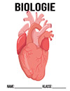 Biologie Herz Deckblatt