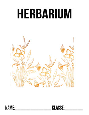 Deckblatt Herbarium Variante 2