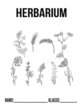 Deckblatt Herbarium Variante 5