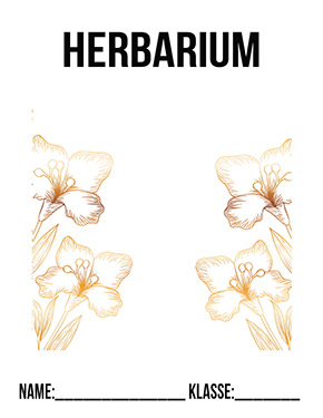 Deckblatt Herbarium