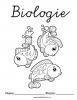 Biologie Deckblatt Fische Deckblatt zum Ausdrucken