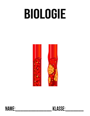 Deckblatt Biologie Arterie
