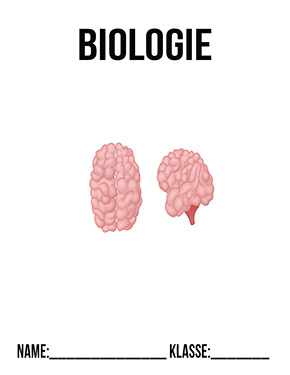 Deckblatt Biologie Gehirn