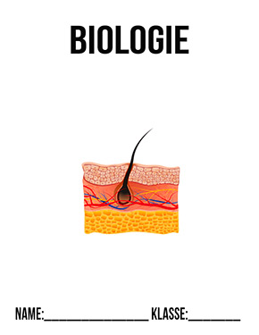 Deckblatt Biologie Haut