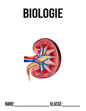 Deckblatt Biologie Niere