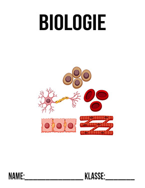 Deckblatt Biologie Stammzellen