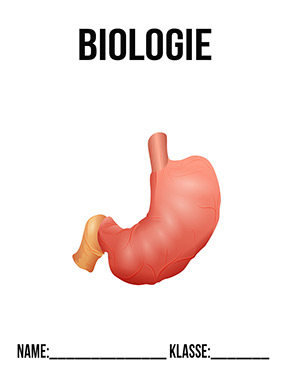 Deckblatt Biologie Verdauung