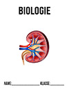 Biologie Niere Deckblatt
